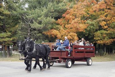Fall Festival returns to Ludington State Park