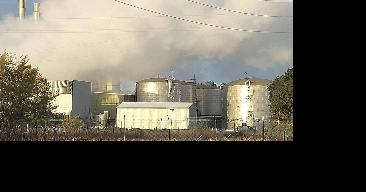 Michigan Power 'co-gen' plant in Ludington to be sold | News |  shorelinemedia.net