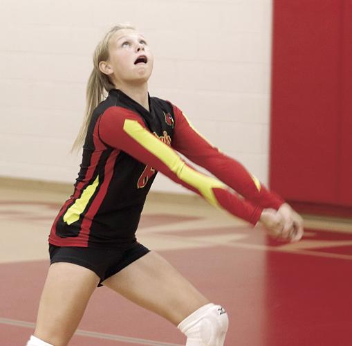 Mason County Eastern volleyball swept by Brethren | Ludington Daily News |  shorelinemedia.net