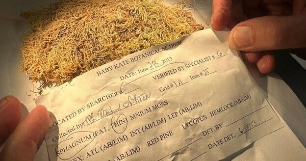 Green clues: Crime-busters turn to moss to help solve crimes