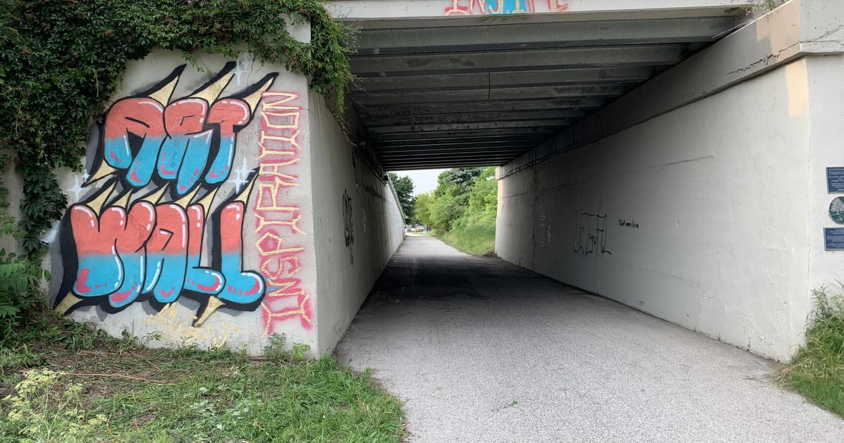 Whitehall graduate to paint art wall on bike path - Vimarsana News
