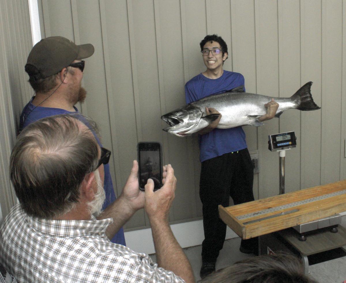 Record Chinook salmon