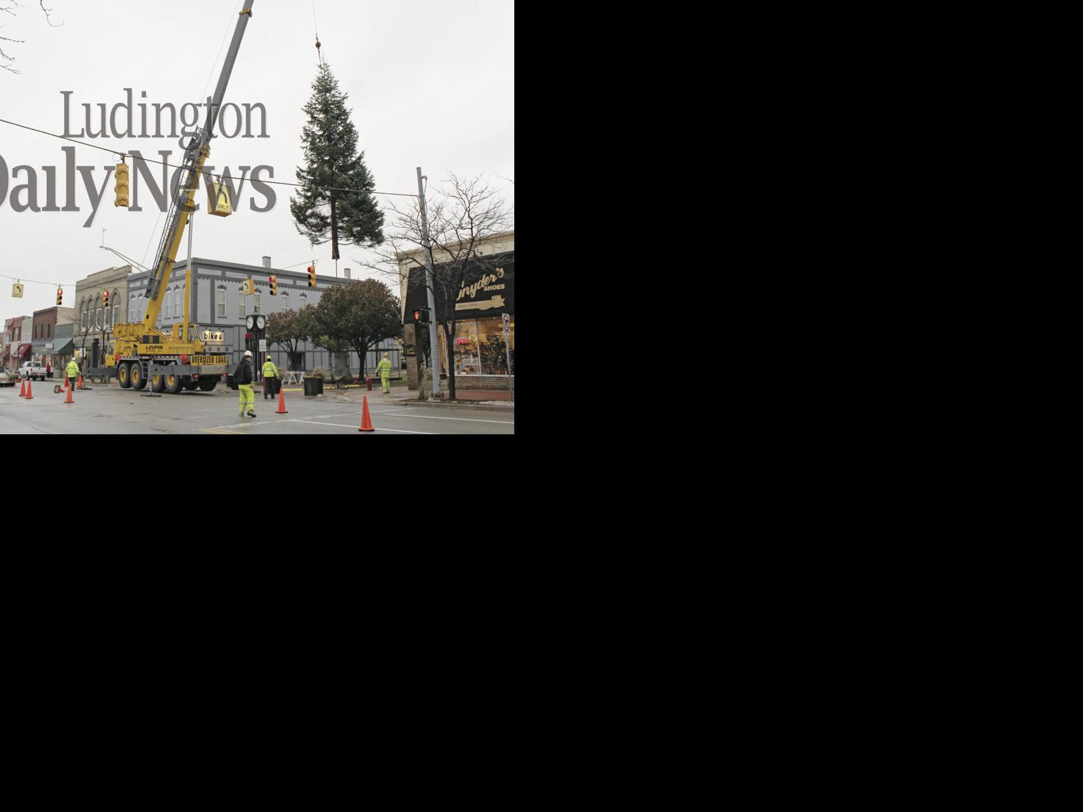Ludington Christmas tree returns to plaza News