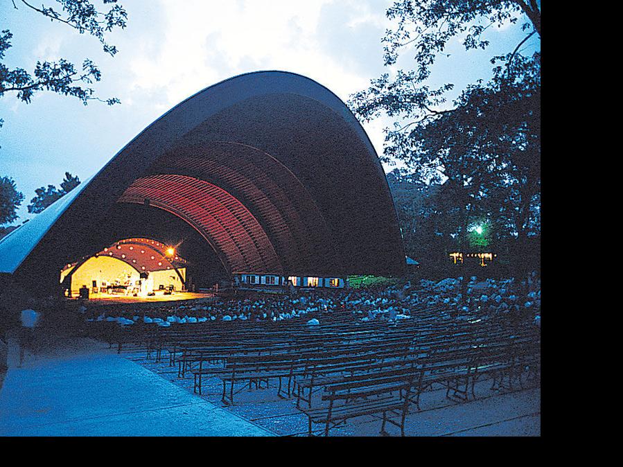 Fine Arts In The Woods Shorelinemedia Net