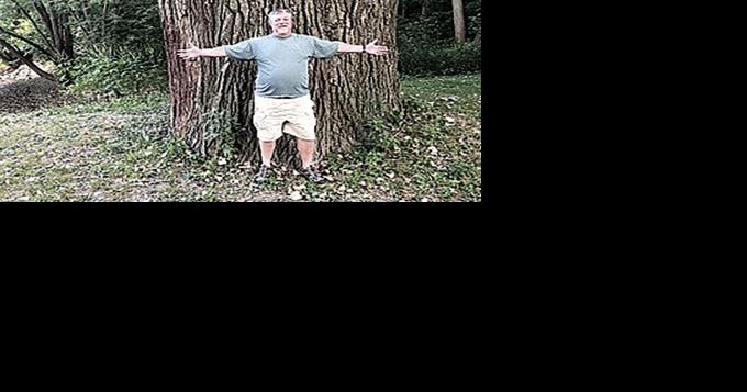 ReLeaf Michigan seeks champion trees for Big Tree Hunt - Vimarsana News