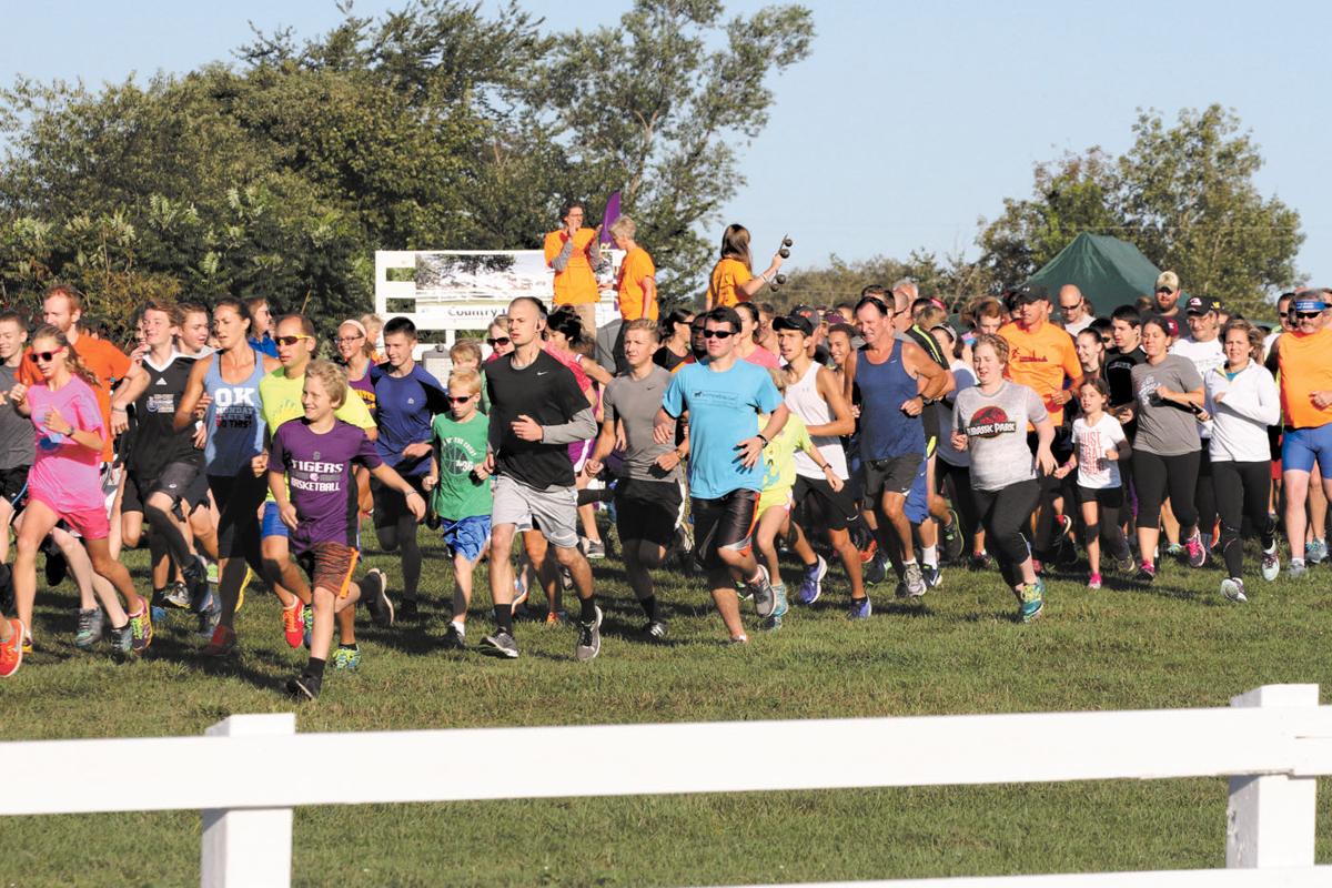 p-a.cow run 2.jpg