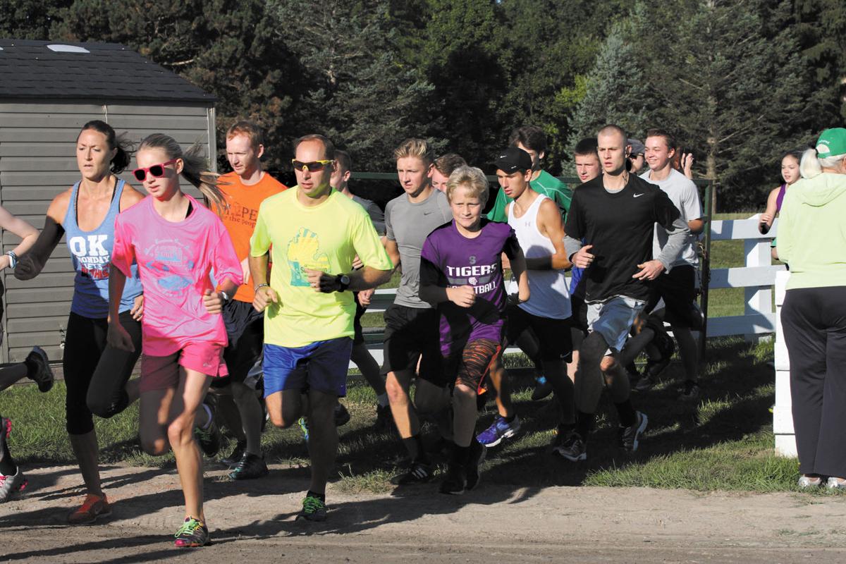 p-a.cow run 3.jpg