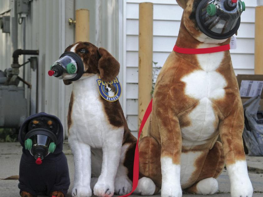 Lending A Paw Mason County Mutts Donates Dog Oxygen Masks To Local Fire Departments News Shorelinemedia Net