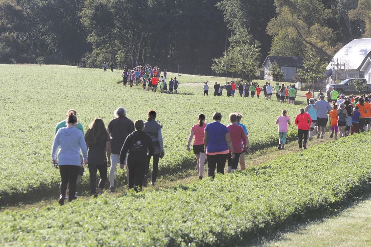 p-a.cow run 5.jpg