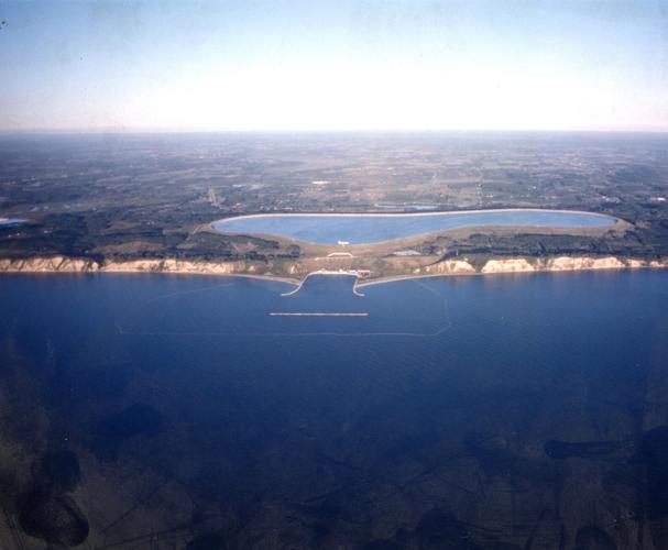 canna plant australia Canna Australia main image 1