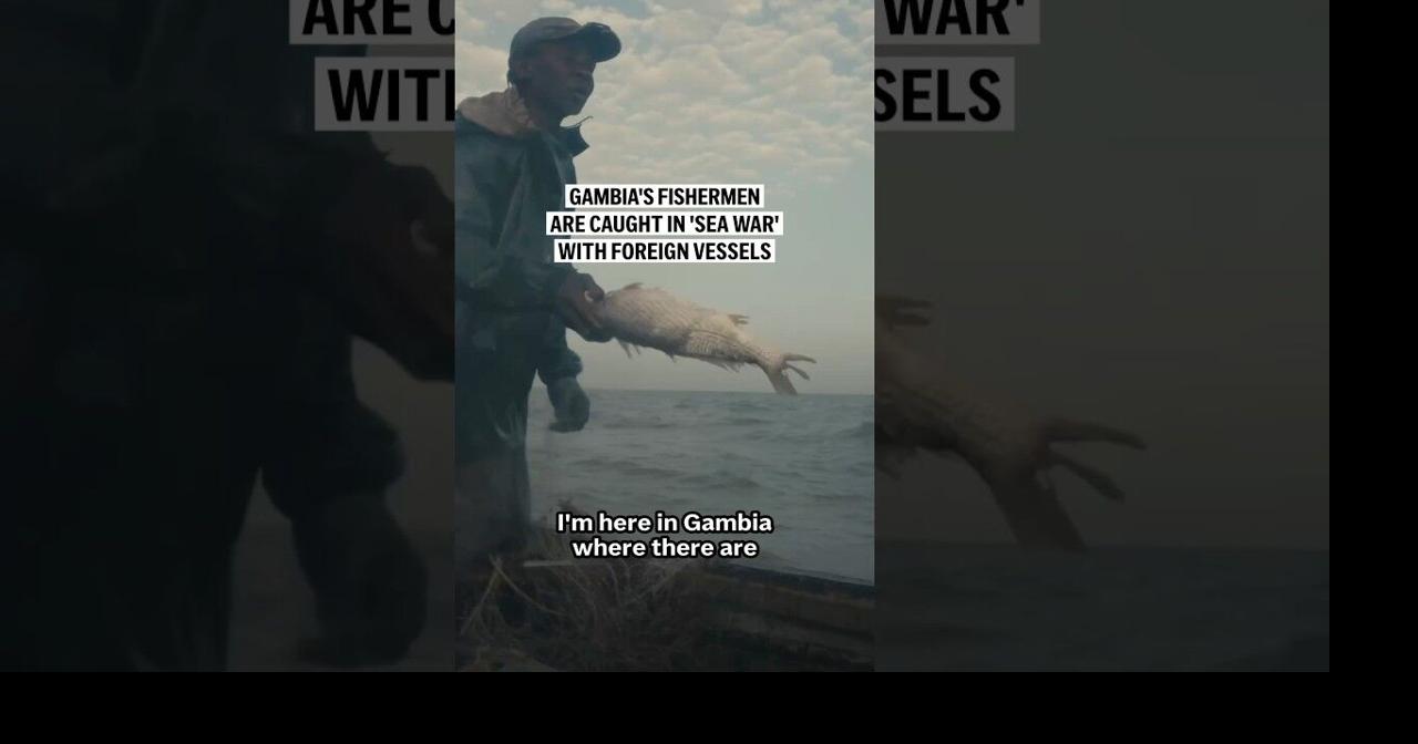 Gambia's fishermen are caught in 'sea war' with foreign vessels
