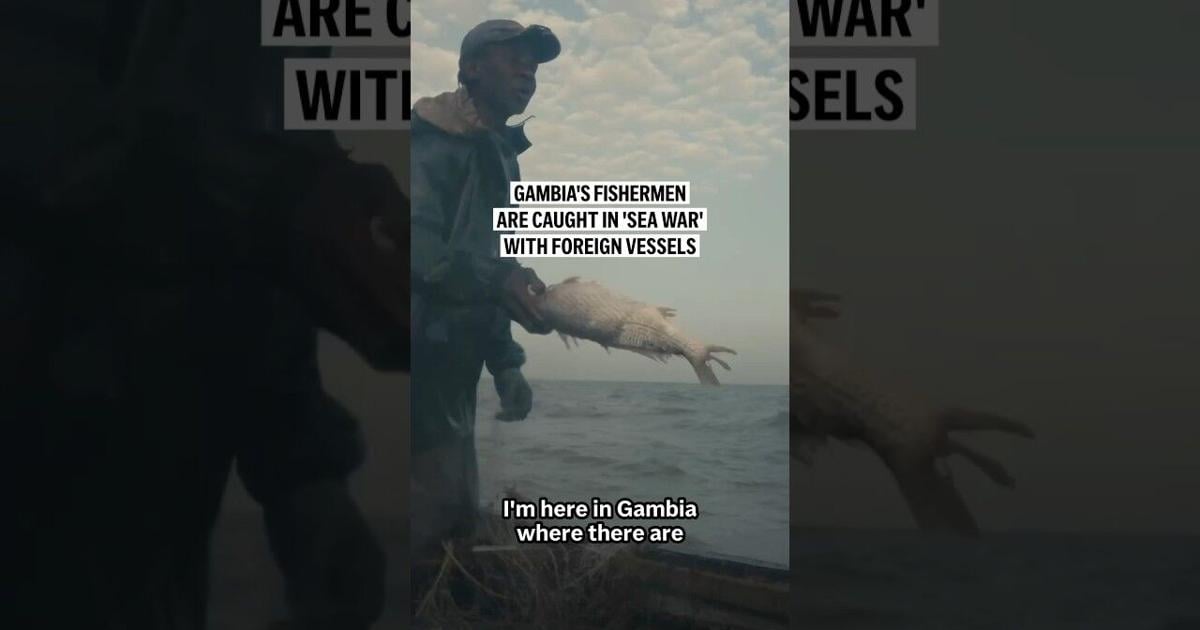 Gambia's fishermen are caught in 'sea war' with foreign vessels