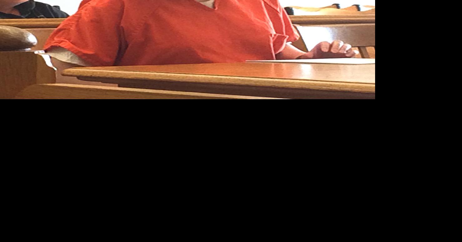 Manistee woman sentenced to one year jail for meth possession ...