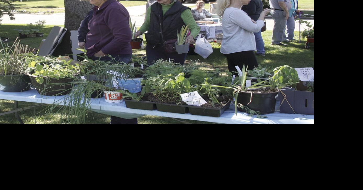 Mason County Garden Club hosts annual Spring Plant Exchange | News