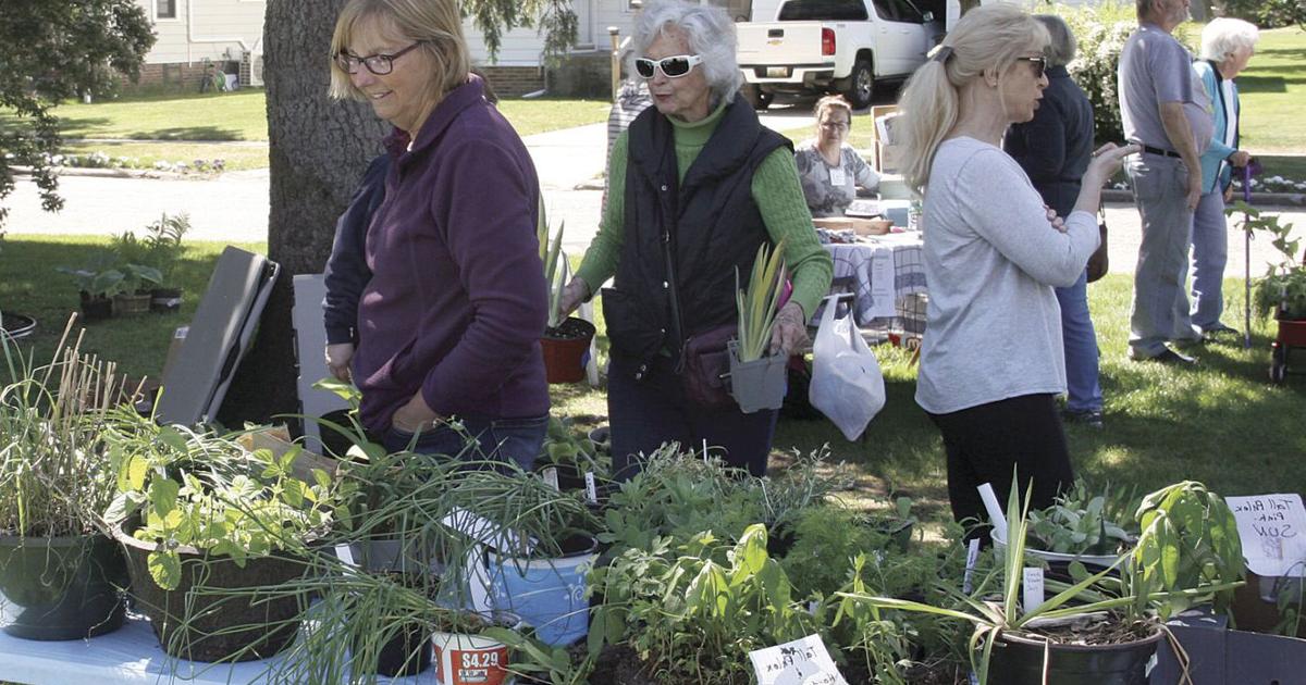 Mason County Garden Club hosts annual Spring Plant Exchange | News