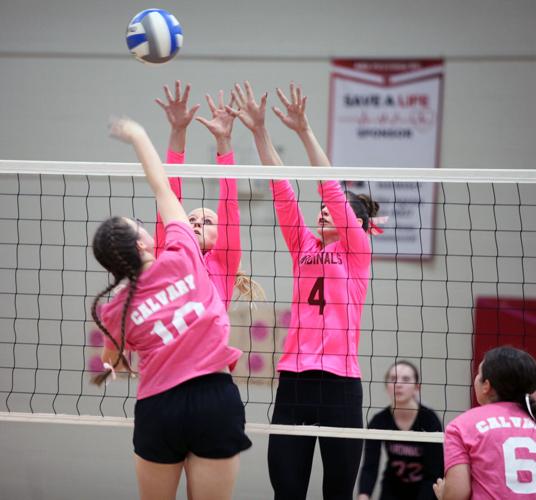 Cardinals host Pink Out in honor of local three-year-old, secure 3-0 ...