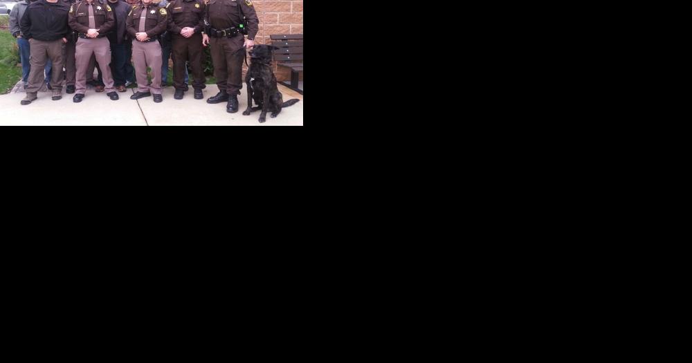 Mason County deputy, police dog, catch parole absconding suspect after  2-mile track | News | shorelinemedia.net