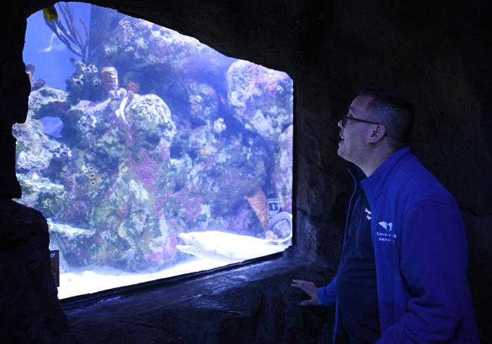 Shreveport aquarium one million amid improvements Business