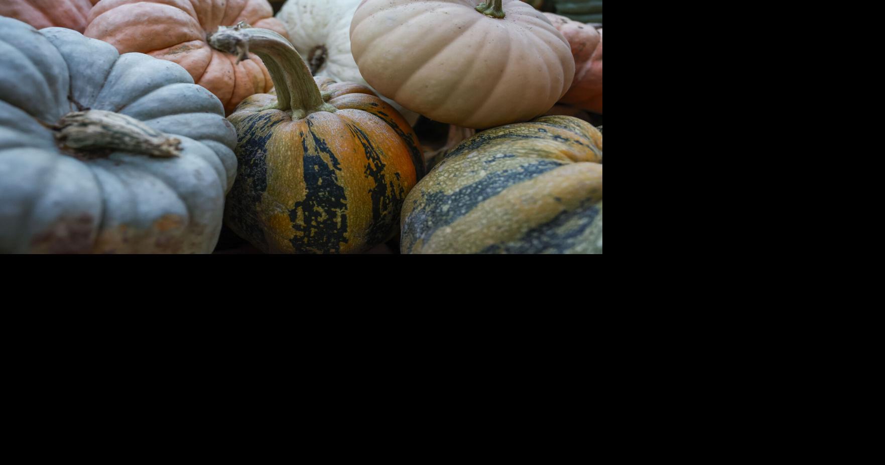 24 Shreveport Halloweenthemed events in October Food & Entertainment