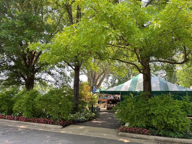 Take a day trip to Ed Lester Farms near Coushatta Food