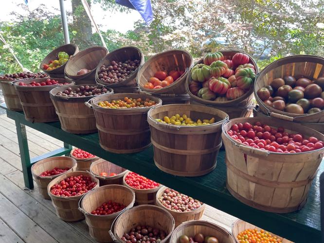 Take a day trip to Ed Lester Farms near Coushatta Food