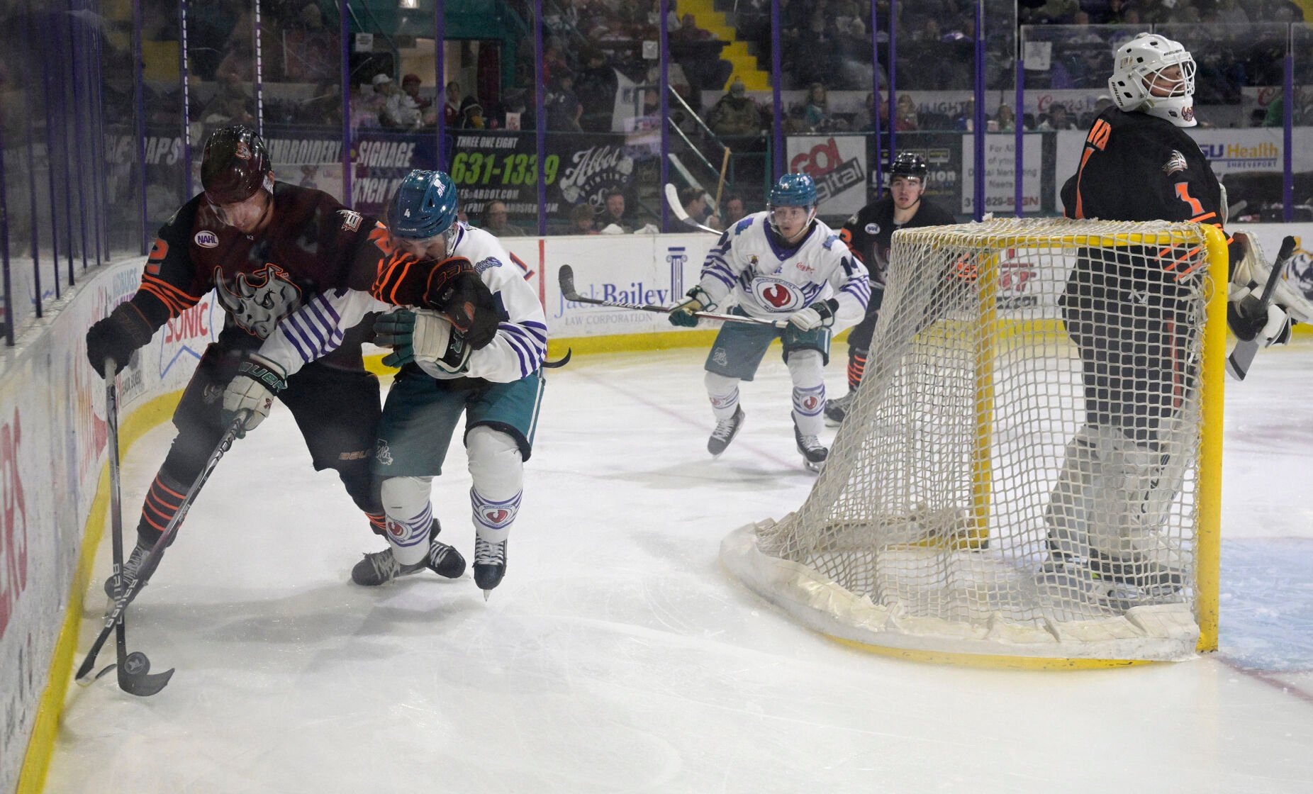 Hockey: Mudbugs vs. El Paso | | shreveportbossieradvocate.com