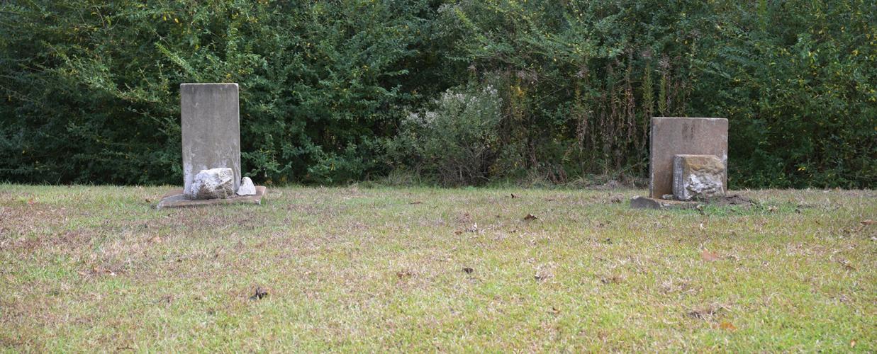 Vibrant Here's What The Giants Are Looking For In Their Next Head Coach Moment Photography