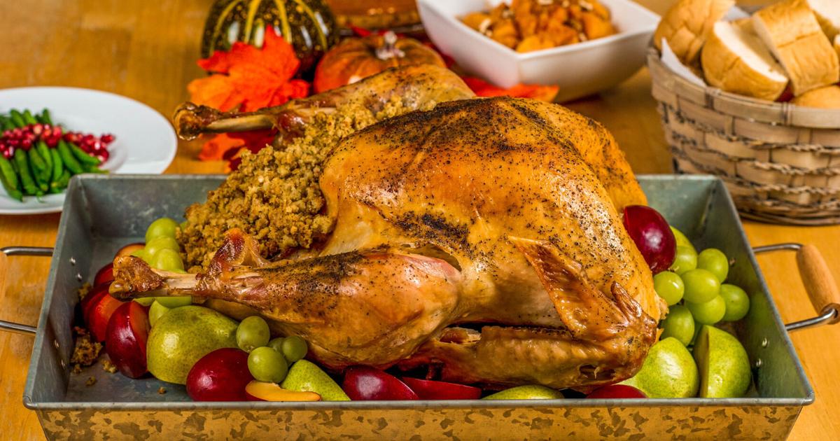 Thanksgiving 2024 movie short Thanksgiving 2024 movie short