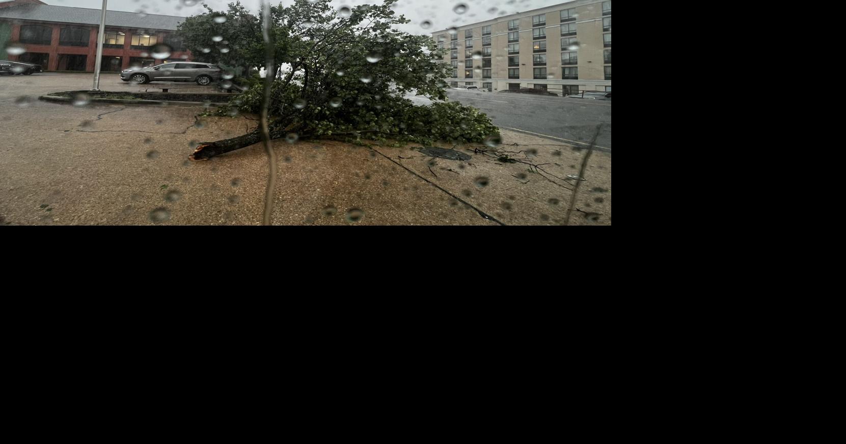 National Weather Service reports high wind, trees down around northwest Louisiana