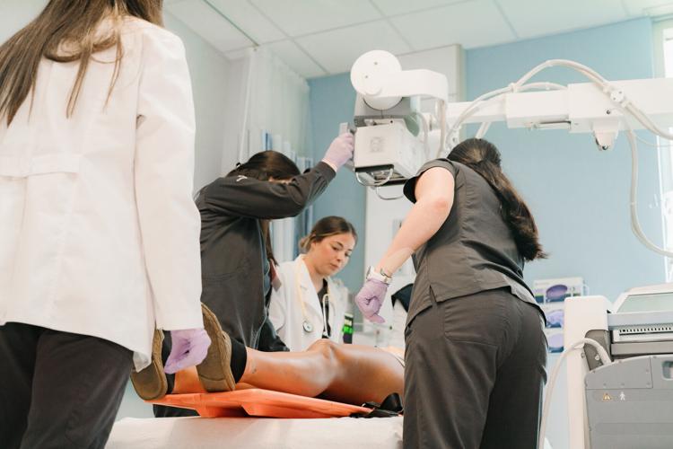 Franu Radiologic Technology Program FranU sees enrollment highs as students pursue degrees that lead to ...