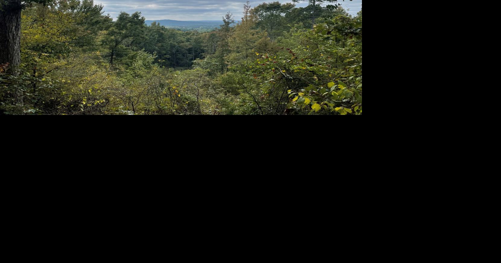 This north Louisiana 'mountain' is state's highest elevation point. What to know before you hike.