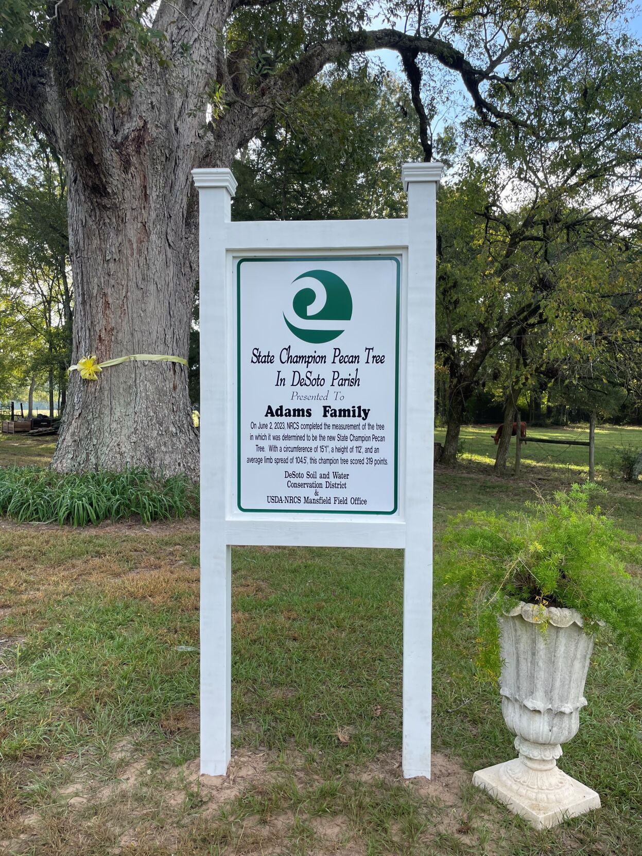 Keatchie pecan tree earns Louisiana championship title Food