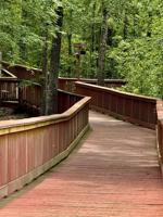 marksville travel 9