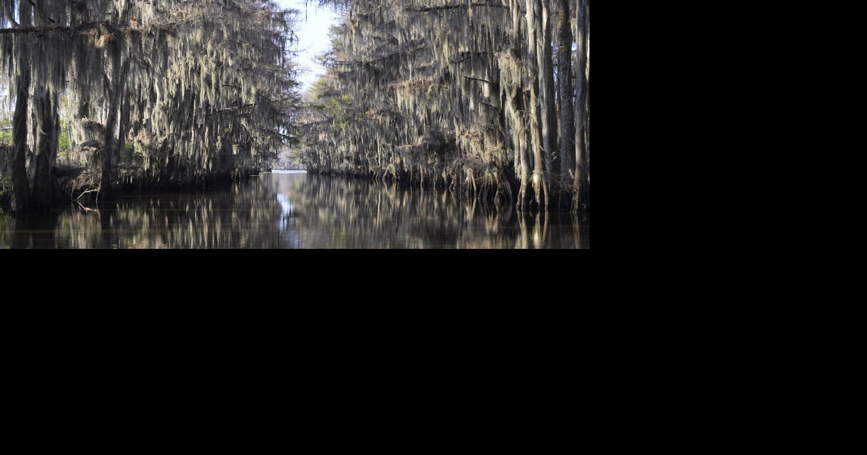 The new Star Wars movie was partially filmed on Caddo Lake. See how it happened.