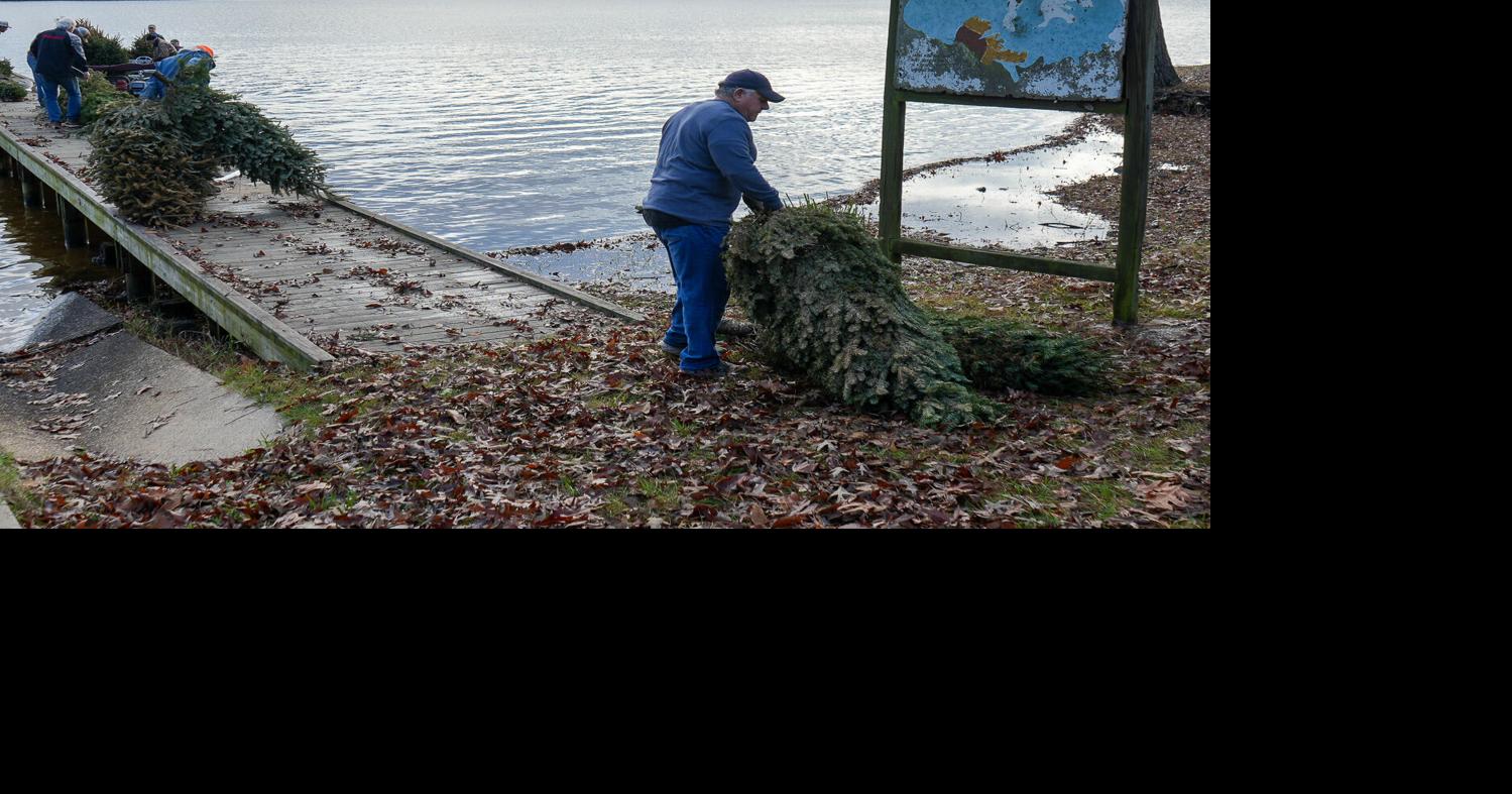 Bossier volunteers turn donated Christmas trees into homes for fish in Cypress Black Bayou