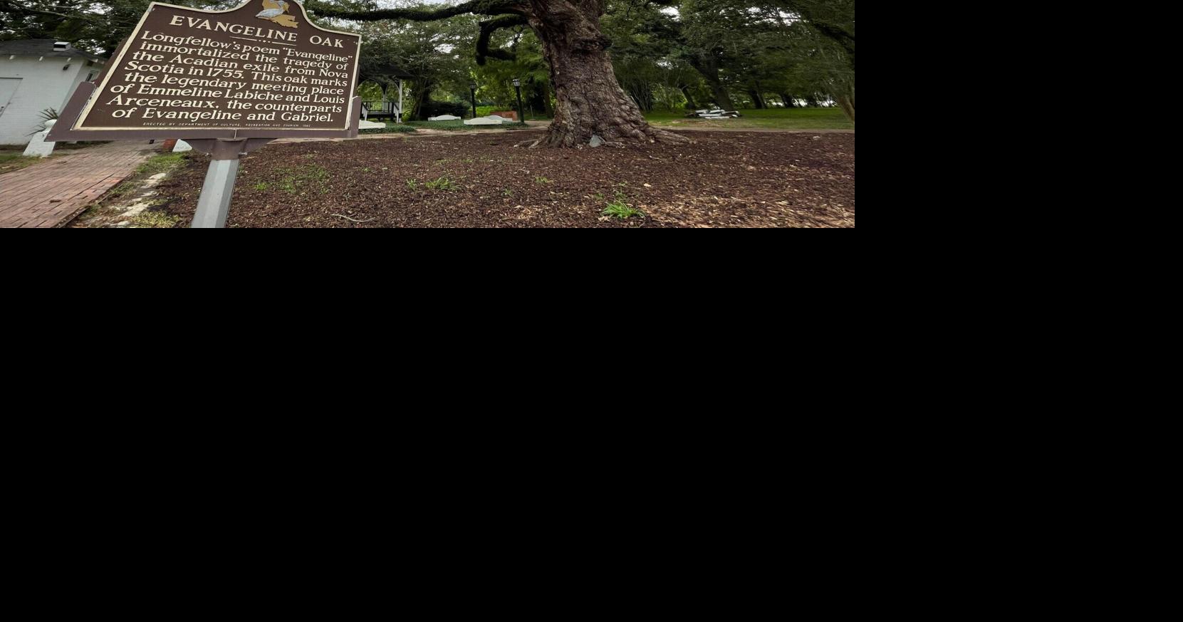 Longfellow's 'Evangeline' is different from Louisiana's version. When was the story revised?