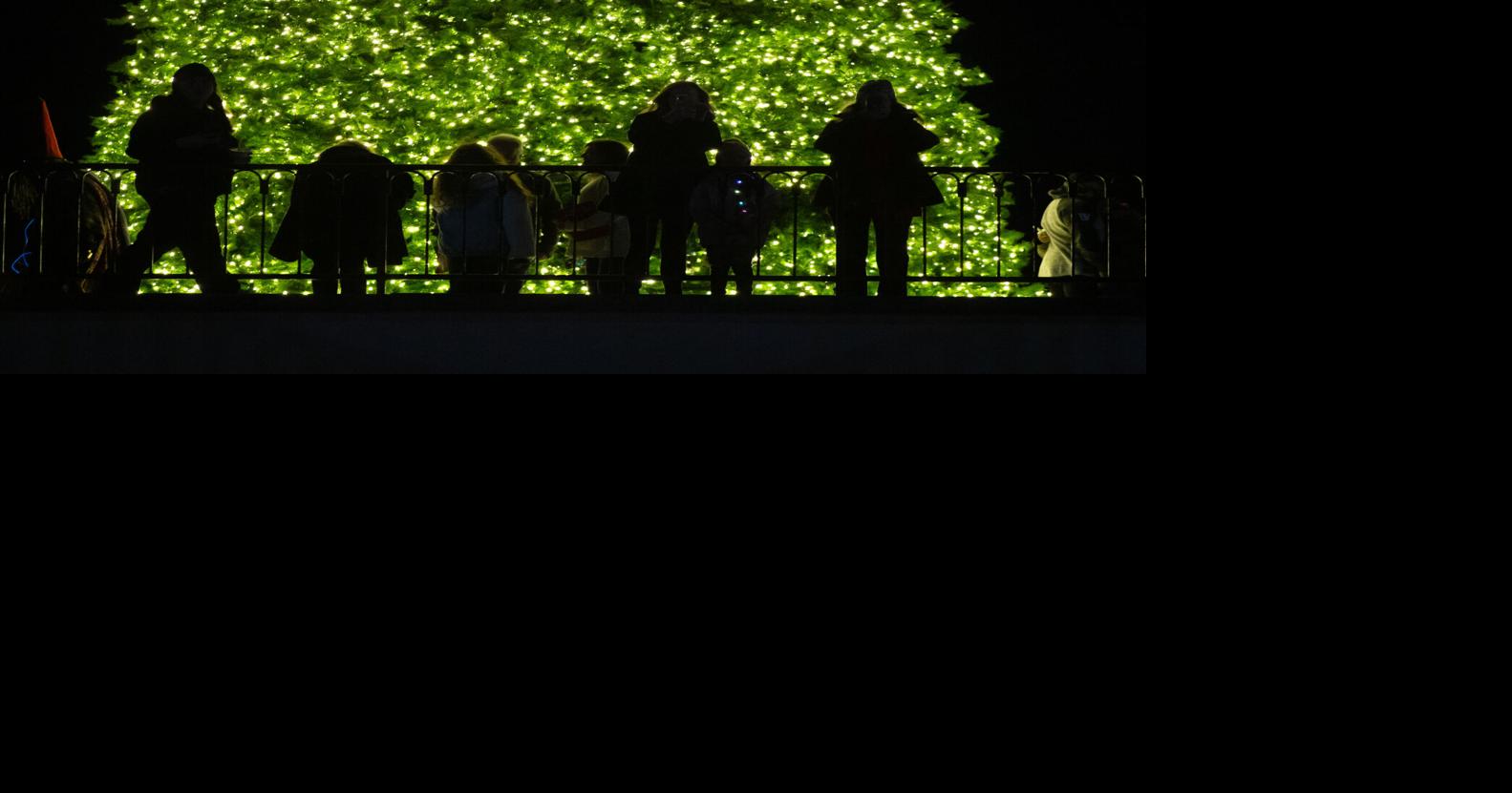 Christmas movies filmed in Louisiana that you should watch Food