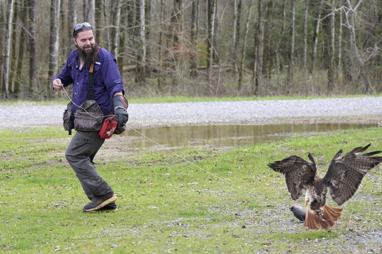 A day in the life of a north Louisiana falconer Food & Entertainment