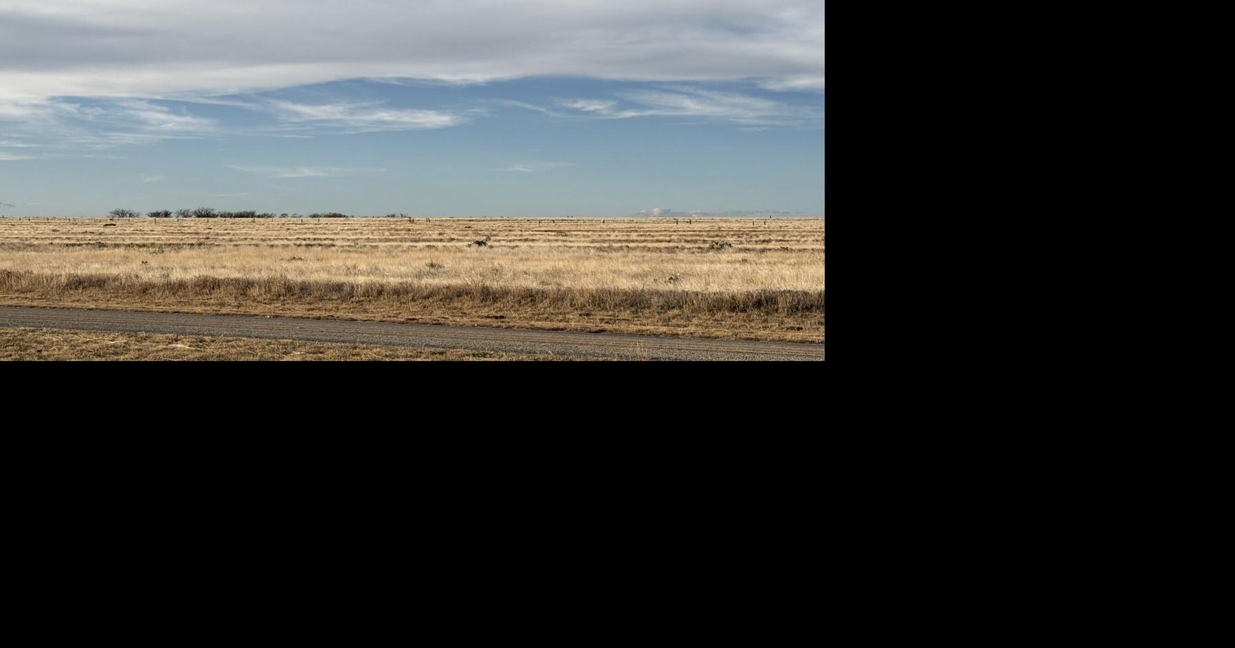 The geography of grief, mapped from Louisiana all the way across Texas: Jan Risher