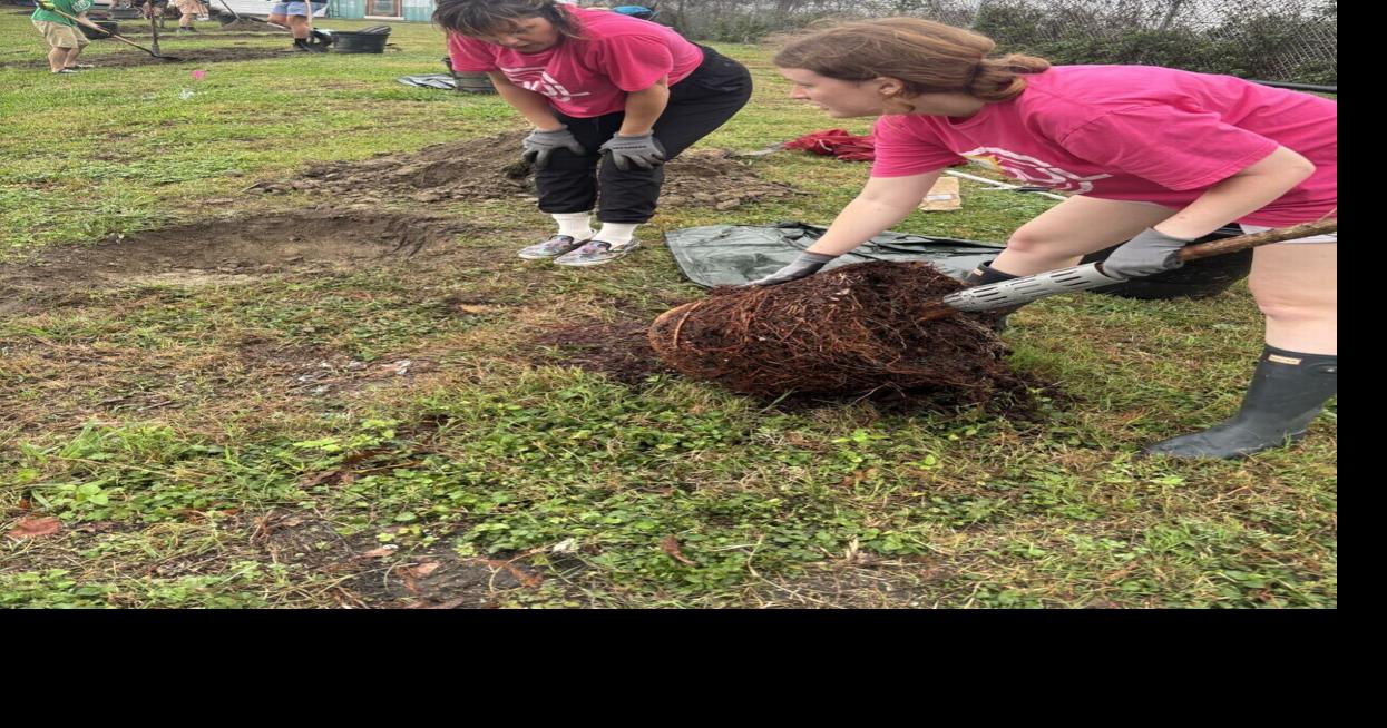 Inside the plan to reforest New Orleans’ Lafitte Greenway