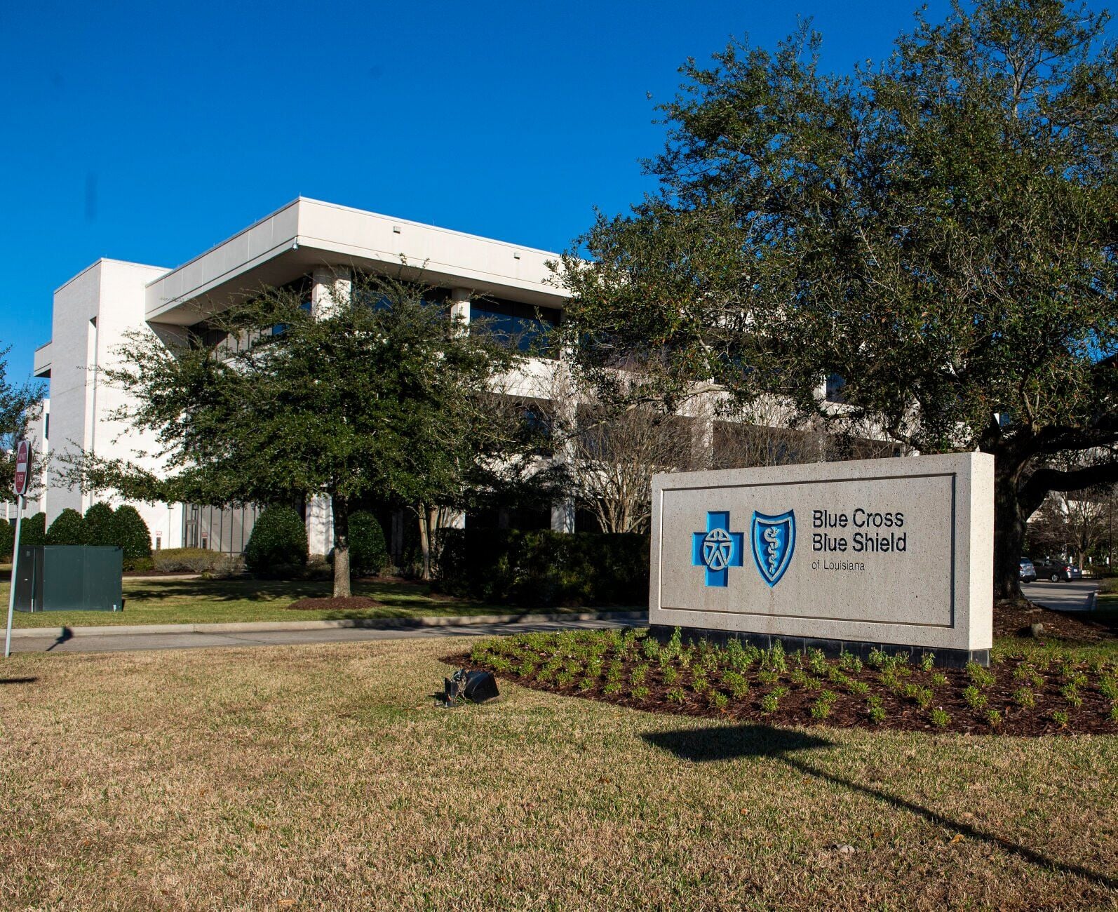 Html Blue Record $421M jury award against Blue Cross goes to SCOLA | Business ...