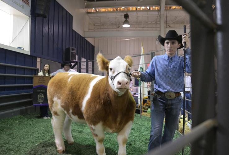 Hard work pays at 2024 Junior Livestock Sale in Shreveport News