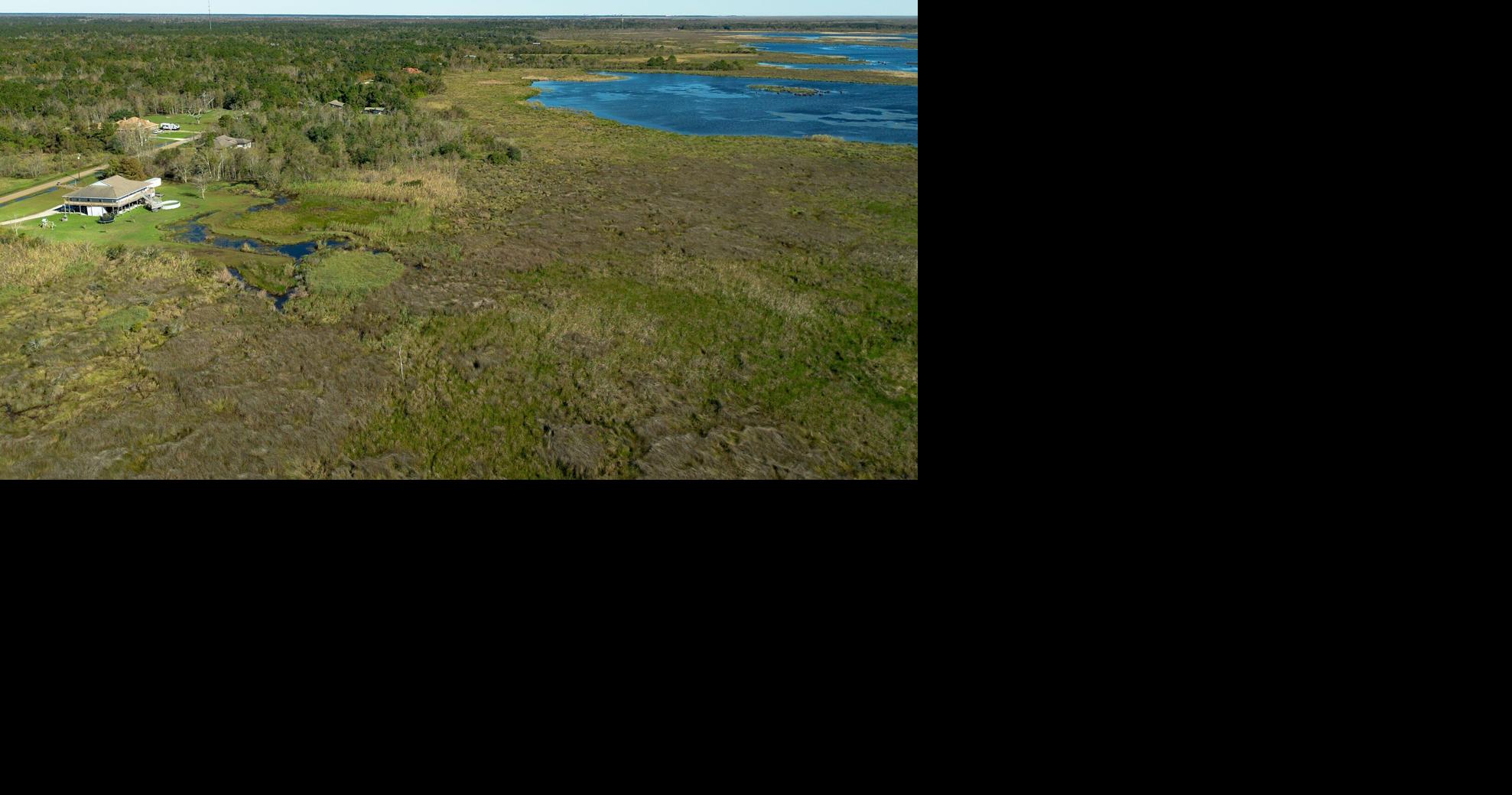 Could these Louisiana wetlands lose protection under new federal rule? Here are the risks.