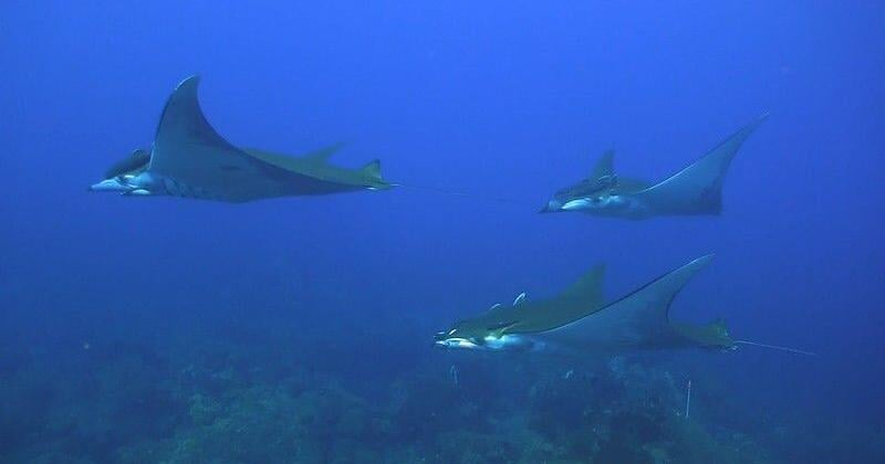 See 6 stories that highlight global progress, from eliminating poverty to removing invasive species