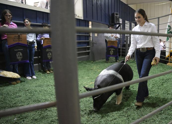Hard work pays at 2024 Junior Livestock Sale in Shreveport News