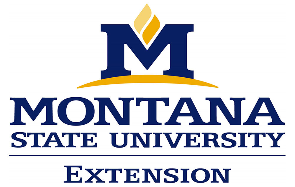 MSU Extension To Offer Webinars For Parents And Grandparents Raising ...