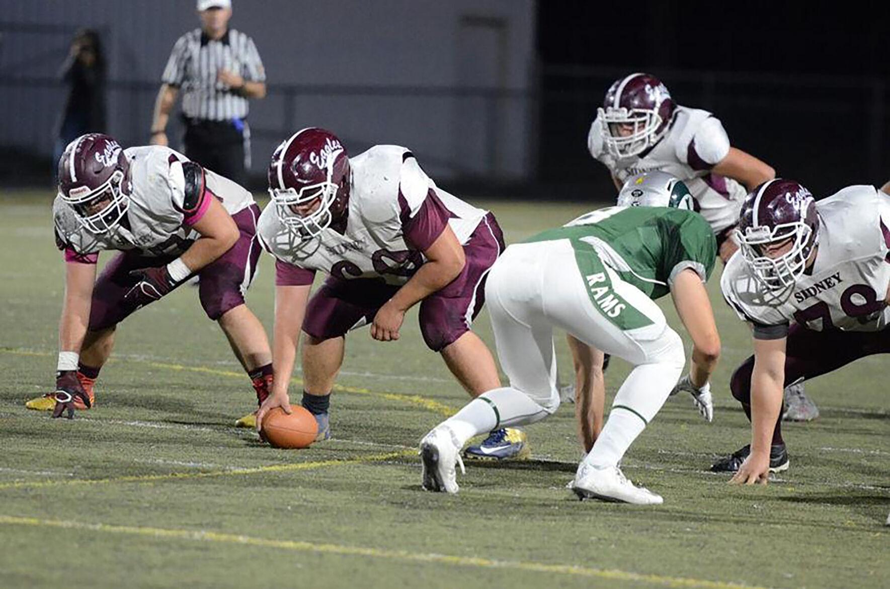 Three Blue Hawks named to the NAIA Football AllAmerican Teams Local