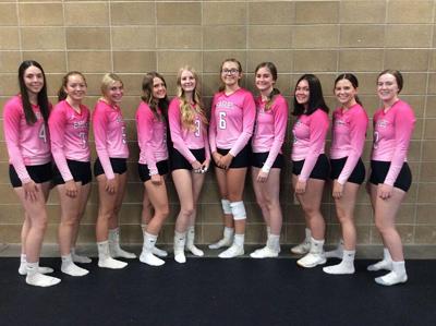 SHS volleyball uses 'Pink Night' to help community | Local News ...