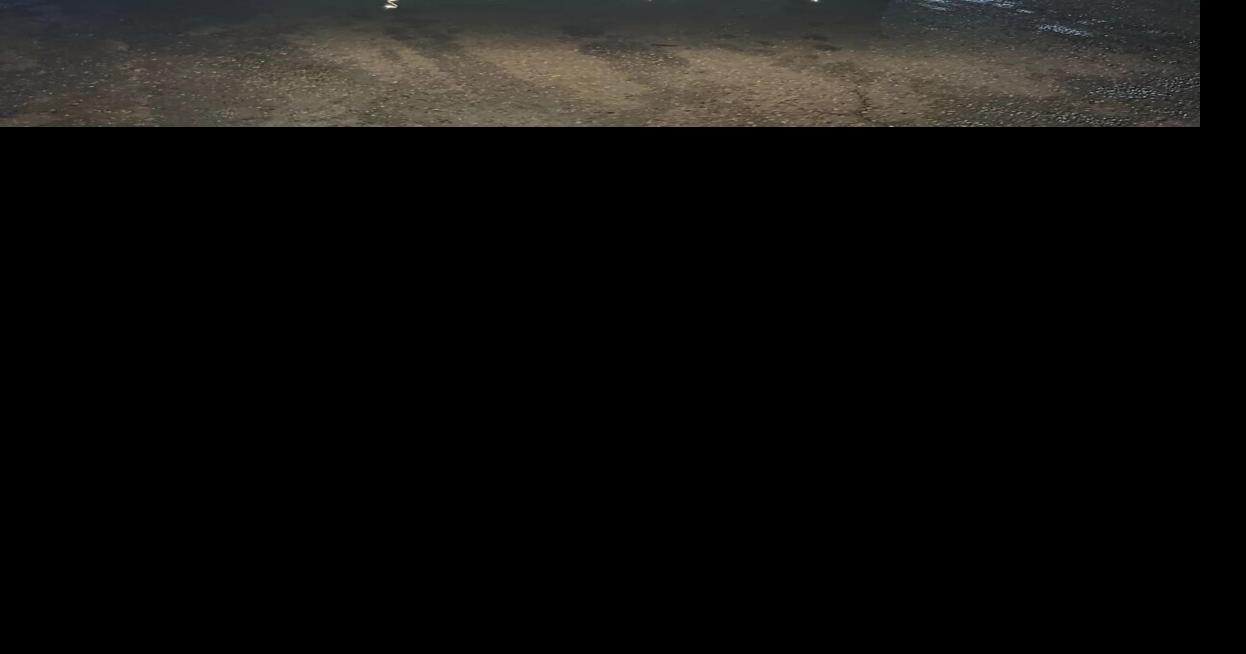 Sidney Holiday Parade of Lights attracts hundreds Local News