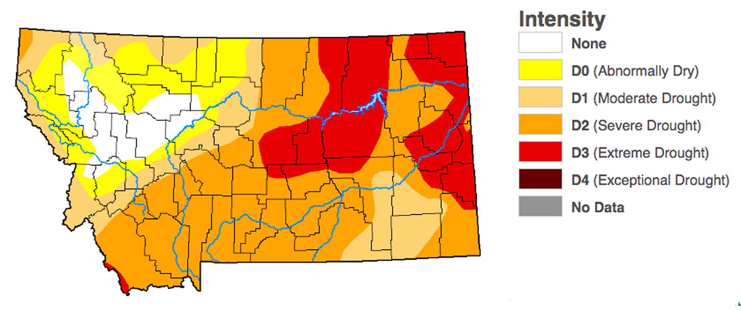 Gianforte declares drought emergency in Montana Local News Stories